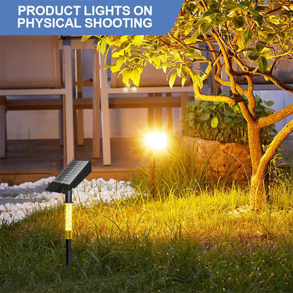 Smiling Shark 2 LED Beads Waterproof Outdoor Garden Solar Spotlight-3031